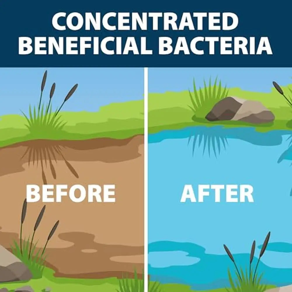 Effective Pond Muck Reducer Odorless Solution Tablets Cleaner - PoolGearX